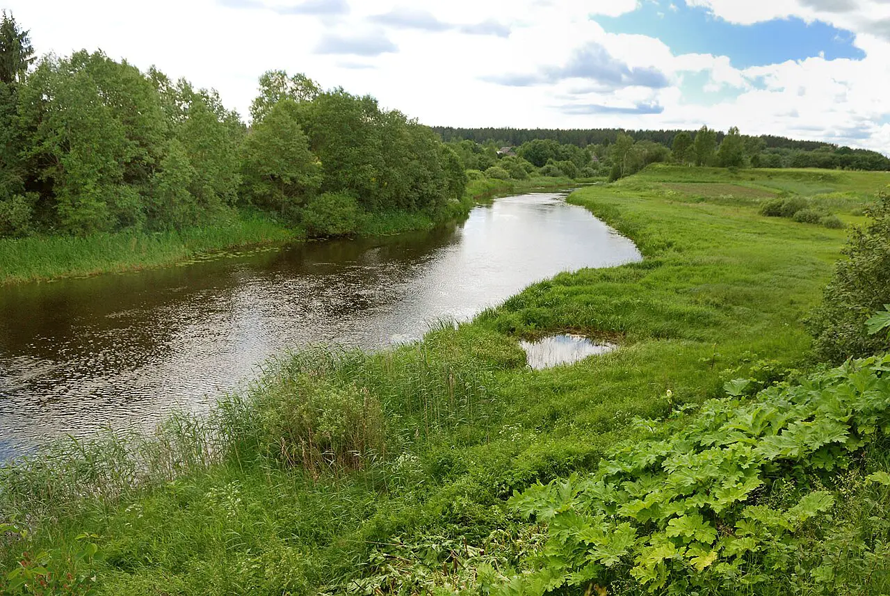 ООН и Каве Мадани: вода в кризисе, но выход есть-0