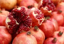 Пуникалагин граната снижает синтез TMA, риск ССЗ punikalagin granata snizhaet sintez risk ssz-gazetart-ru-0