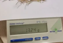 Таможенники Жуковского: пассажирка из Таджикистана везла странное растение tamozhenniki zhukovskogo passazhirka iz tadzhikistana vezla strannoe rastenie-gazetart-ru-0