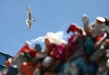 В Госдуме рассказали, как избежать штрафов за мусор в чужих дворах v gosdume rasskazali kak izbezhat shtrafov za musor v chuzhih dvorah-gazetart-ru-0