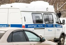 Житель Петербурга с игрушкой на Кушелевской дороге удивил прохожих zhitel peterburga s igrushkoj na kushelevskoj doroge udivil prohozhih-gazetart-ru-0