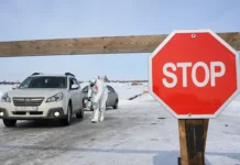 Андрей Шинделов: Карантин в Новосибирской области борется с болезнями andrej shindelov karantin v novosibirskoj oblasti boretsya s boleznyami-gazetart-ru-0