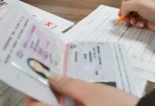 elena braun o vazhnyh pravilah gibdd i koap rf pri smene familii-gazetart-ru-0