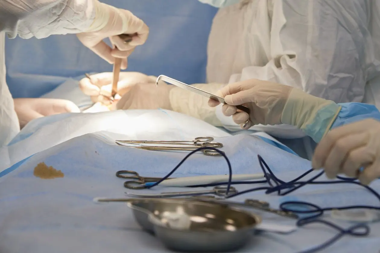 Фото: primamedia.ru