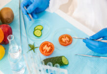 Микропластик в организме человека: как снизить его вред? Лабораторные исследования различных пищевых продуктов