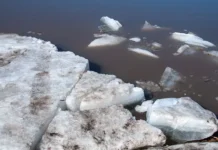 Лиза Алерт призывает помочь эхолотами Lowrance и Humminbird для поиска liza alert prizyvaet pomoch eholotami i dlya poiska-gazetart-ru-0