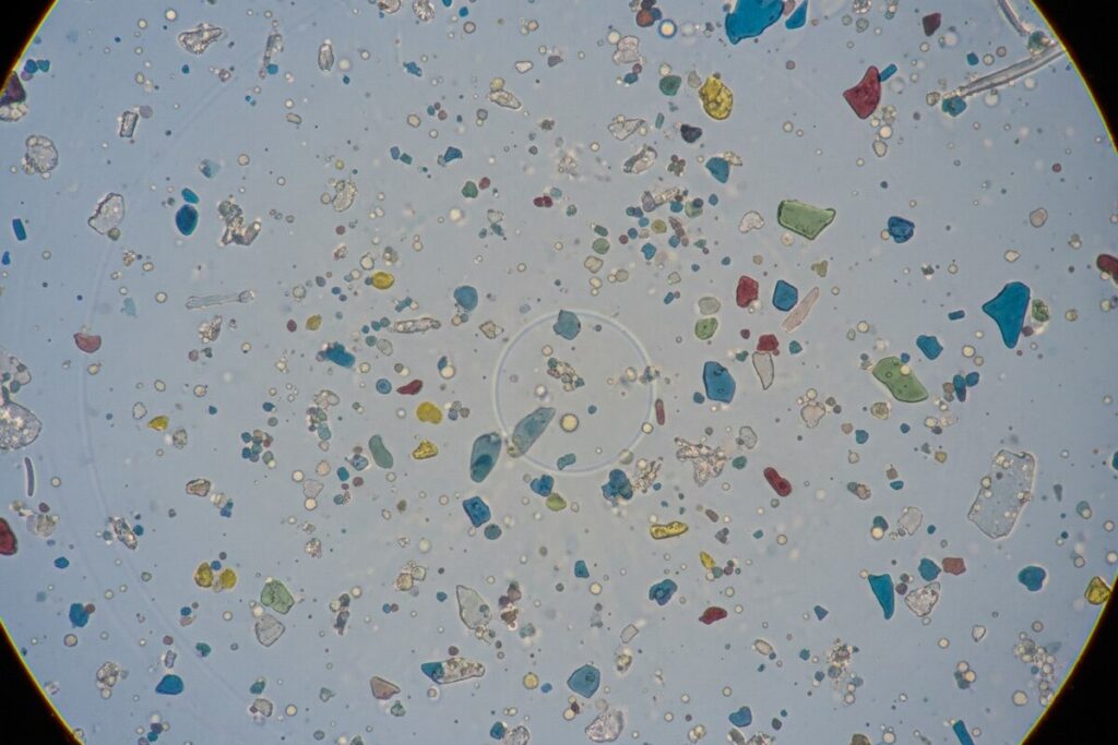Микропластик под микроскопом