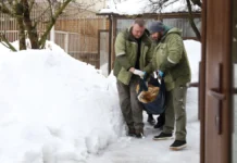 Новая Москва: прокуратура и зоопарк спасли львов, медведей novaya moskva prokuratura i zoopark spasli lvov medvedej-gazetart-ru-0