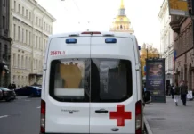 novosti ob ospe obezyan v sanktpeterburge paczient stabilen-gazetart-ru-0