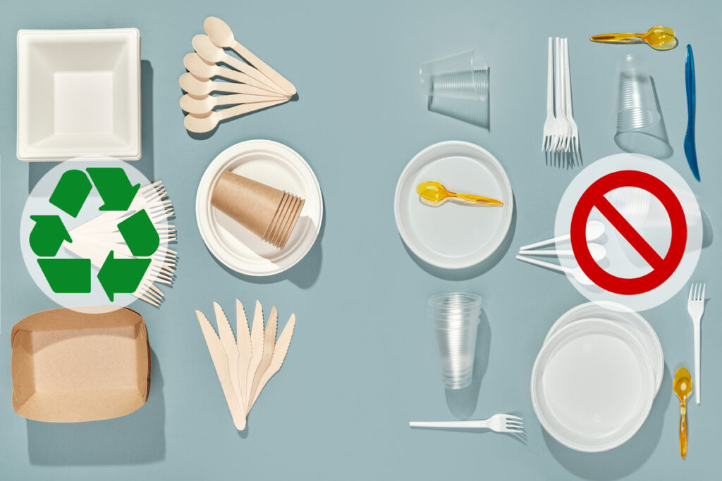 Одноразовая пластиковая и бумажная посуда