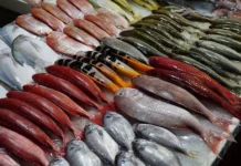 Поставки российской рыбы в Японию растут после аварии на АЭС Фукусима postavki rossijskoj ryby v yaponiyu rastut posle avarii na aes fukusima-gazetart-ru-0