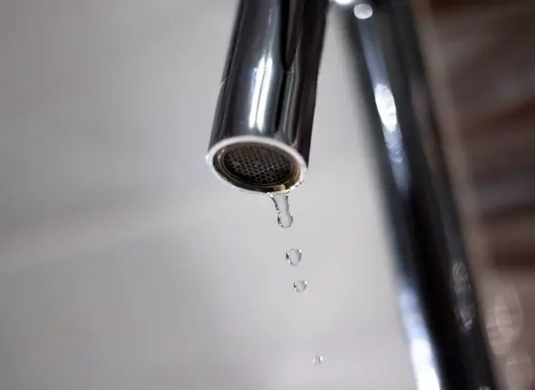 Фото: primamedia.ru