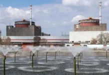 Росатом может стать оператором Запорожской АЭС rosatom mozhet stat operatorom zaporozhskoj aes-gazetart-ru-0