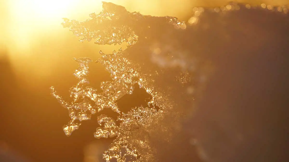 Синоптик Тишковец предупредил о возможном снеге в Москве в апреле и мае