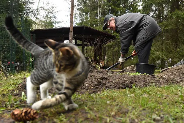 Вводная картинка