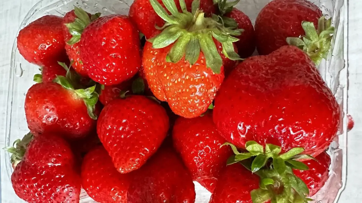 Фото: primamedia.ru