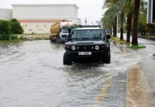 zhitelnicza oae o problemah albarsha saut posle livnej v dubae-gazetart-ru-0