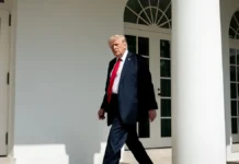 donald tramp karlu  peregovory s putinym idut sejchas-gazetart-ru-0