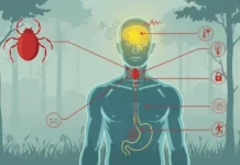 gemotest i vakczinacziya protiv enczefalita pobezhdayut virus-gazetart-ru-0