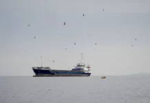 Германия комментирует инициативу Трампа о блокаде Ормузского пролива germaniya kommentiruet inicziativu trampa o blokade ormuzskogo proliva-gazetart-ru-0