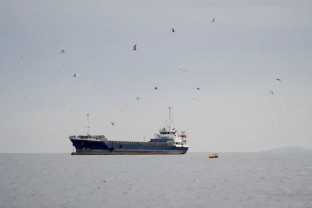 Вводная картинка