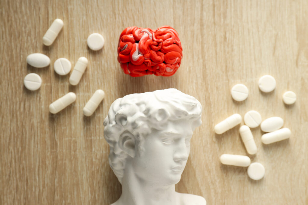 Красная модель мозга и белые таблетки и бюст