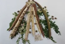 moringa i innovaczionnaya ochistka vody ot mikroplastika v sanpaulu-gazetart-ru-0