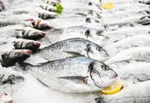 Российский экспорт рыбы в Японию растет: минтай и сурими лидируют rossijskij eksport ryby v yaponiyu rastet mintaj i surimi lidiruyut-gazetart-ru-0