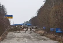Украина оценивает стягивание белорусских войск к границе ukraina oczenivaet styagivanie belorusskih vojsk k granicze-gazetart-ru-0