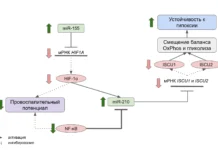 Устойчивость к гипоксии определяют по маркерам крови ustojchivost k gipoksii opredelyayut po markeram krovi-gazetart-ru-0