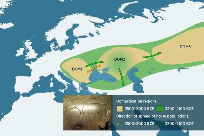 scientificrussia.ru