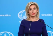 ivan david o dialoge es s rossiej cherez zaharovu i kallas-gazetart-ru-0