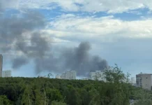 mchs rossii obespechilo bezopasnost rynka topolek v novoj moskve-gazetart-ru-0
