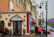 mchs spaslo kota i likvidirovalo pozhar v restorane -gazetart-ru-0