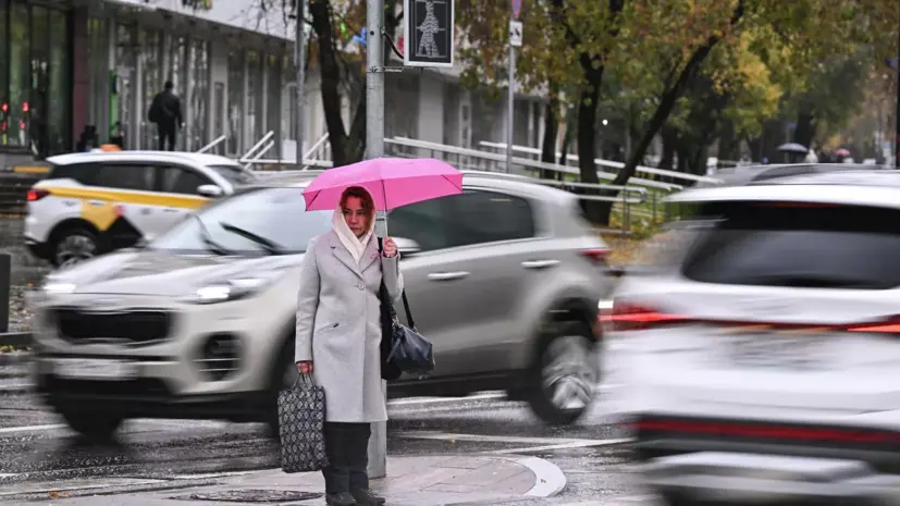 Синоптик Позднякова: ночью 29—30 мая в Подмосковье может быть +1 °C