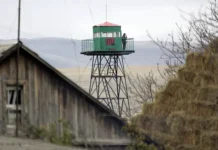rashad mamedov pashinyan i ih plan po otkrytiyu granicz turczii i armenii-gazetart-ru-0