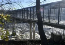 fts sinhroniziruet rabotu kpp narvaivangorod-gazetart-ru-0