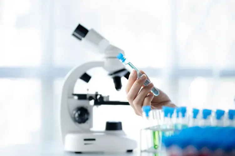 scientificrussia.ru