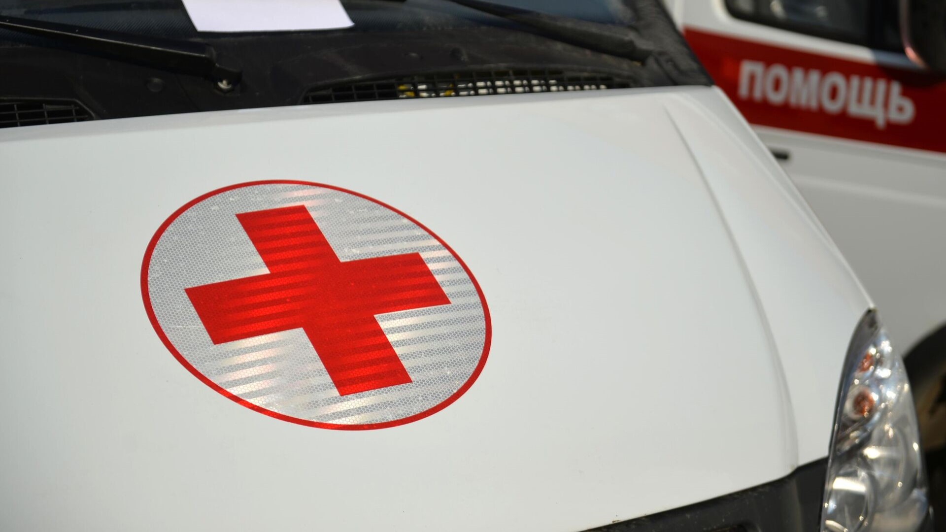 В Новочебоксарской школе оперативно оказана медицинская помощь учащимся 03f1e82d-2b87-4964-8781-5f0f24194865-678a87cc