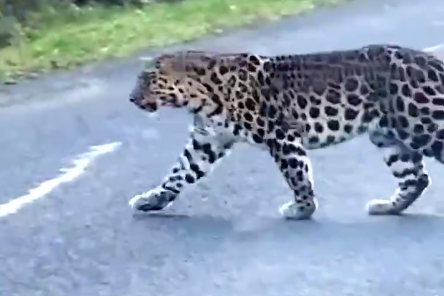 47aa13b8-8b84-4ccd-81e7-8c165a78f154-6752b31b