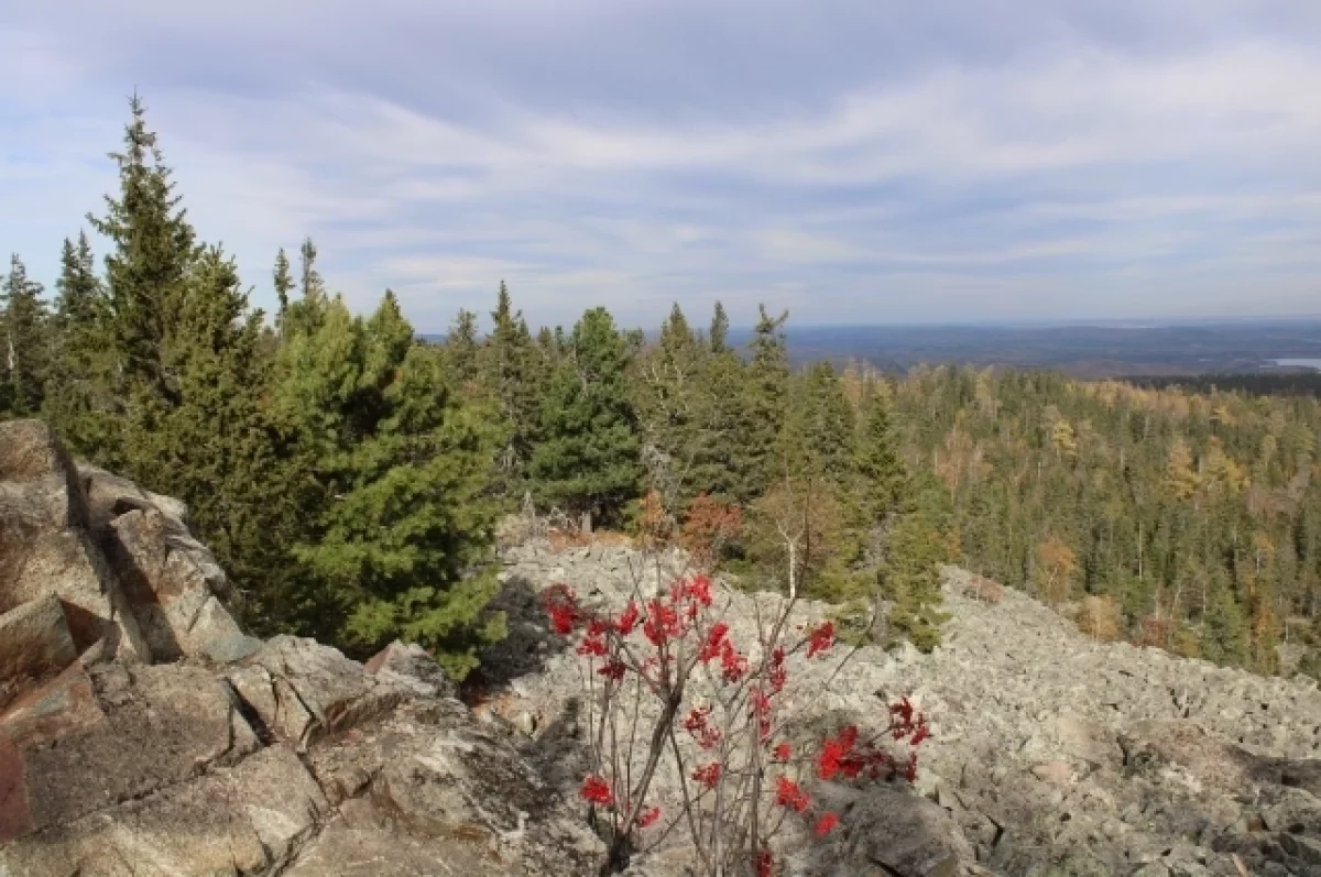 Прогноз погоды на выходные в Свердловской области: тепло и облачно 57c6992c-a2c2-4be0-a32f-acc37d891fa8-6752baca