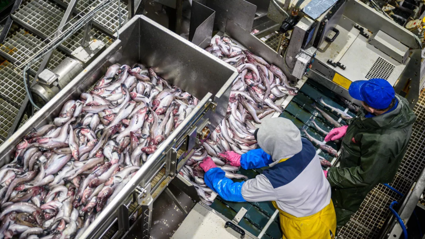 ca02c20e-d353-488f-8170-dadfb4c51dd3-674db5f5