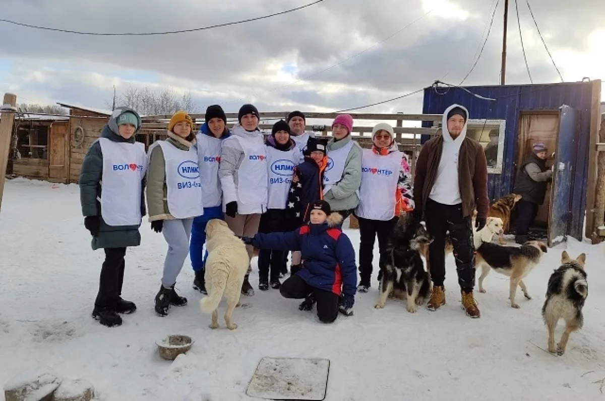 Заводские волонтеры помогли приюту для бездомных животных d3305e1a-4ba7-4c3d-9b82-ac8ef66e0797-6786870d