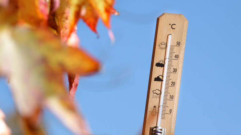 Москвичей ожидает потепление в конце недели e42c90c6-ffd1-4f05-a5ea-aeda32b458a1-6787a0a5