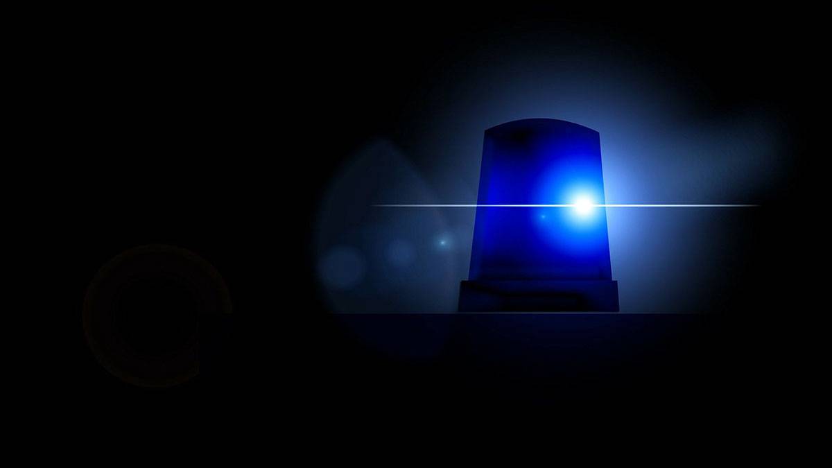 Оперативная эвакуация ТЦ «Форт»: безопасность посетителей превыше всего 324185d0-8c23-4984-a406-414e853105ca-67b9ee2d