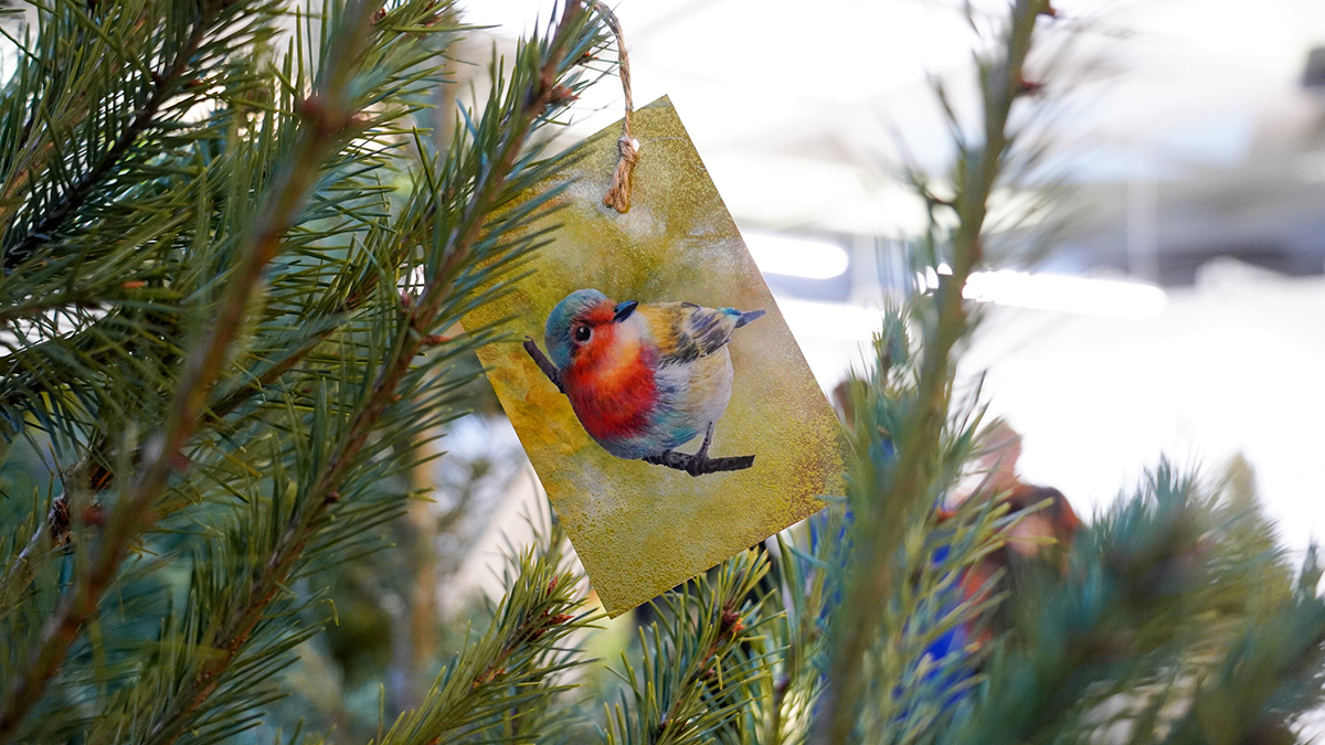 Как акция «Добрая елка» творит новогодние чудеса в зимней Москве Открытие выставки хвойных растений «Сказочные елки» в павильоне «Цветоводство» на ВДНХ