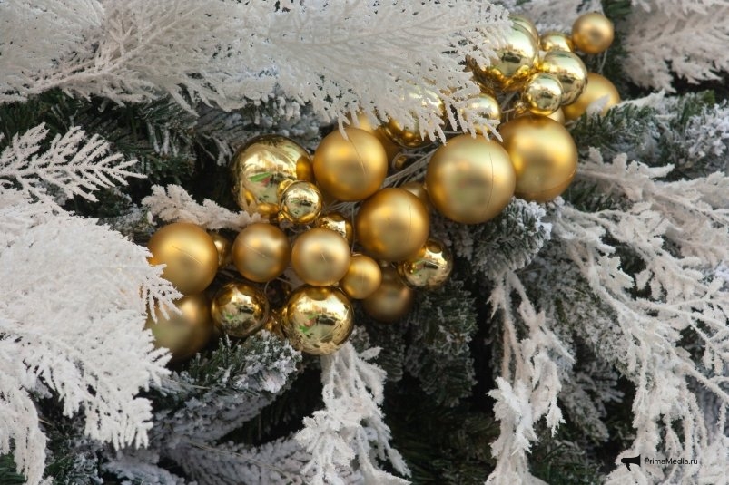 Фото: primamedia.ru