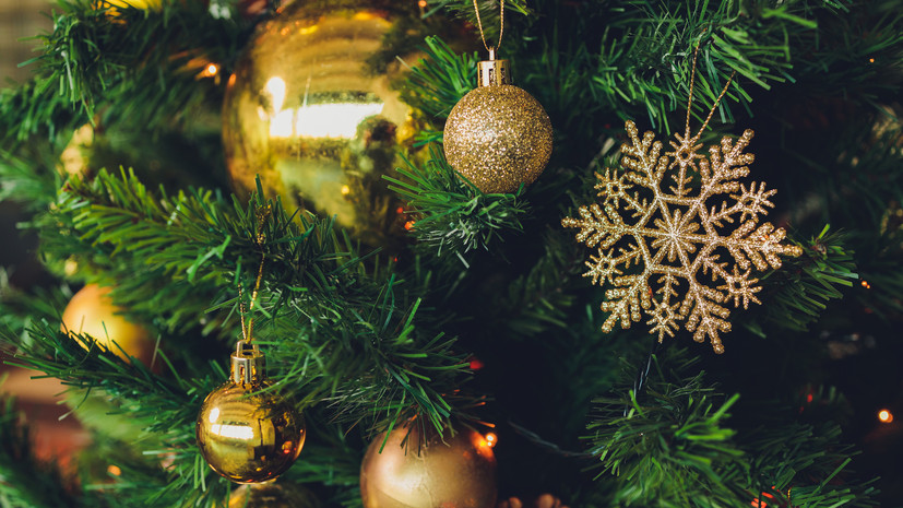 b6f16fe1-d2ef-4e09-b069-bf87dddf1d3a-67c073df