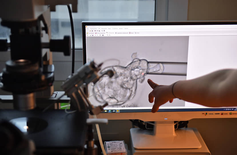 Суд продлил срок от зачатия до родов c64601c5-b83c-496b-9071-9ecd38e83fe2-67bd208b