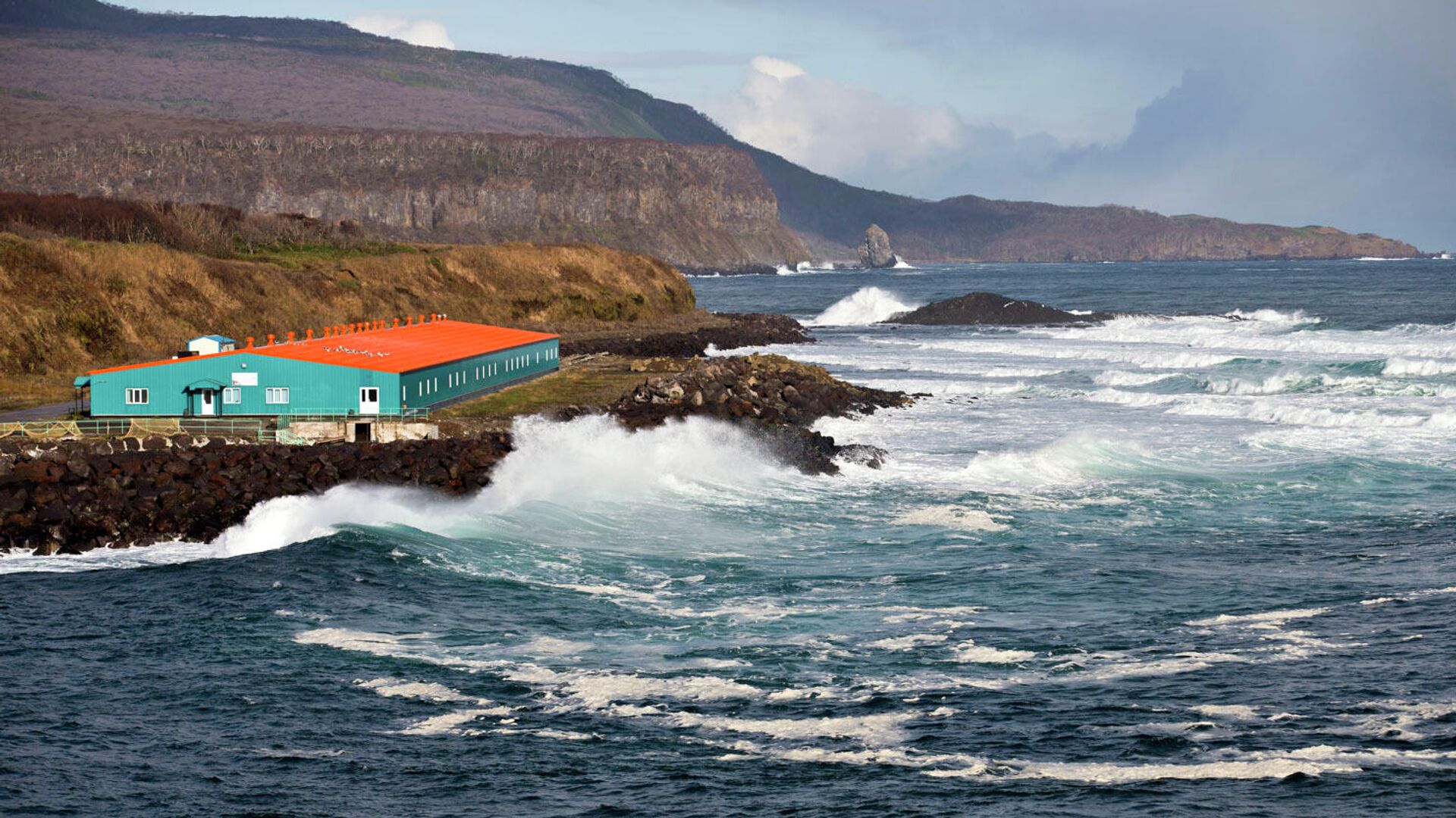 Новое японское правительство пытается выстроить диалог с Россией по вопросу Курильских островов e5e5e719-2e8e-4e73-a9de-31395718b601-67b3bb9b